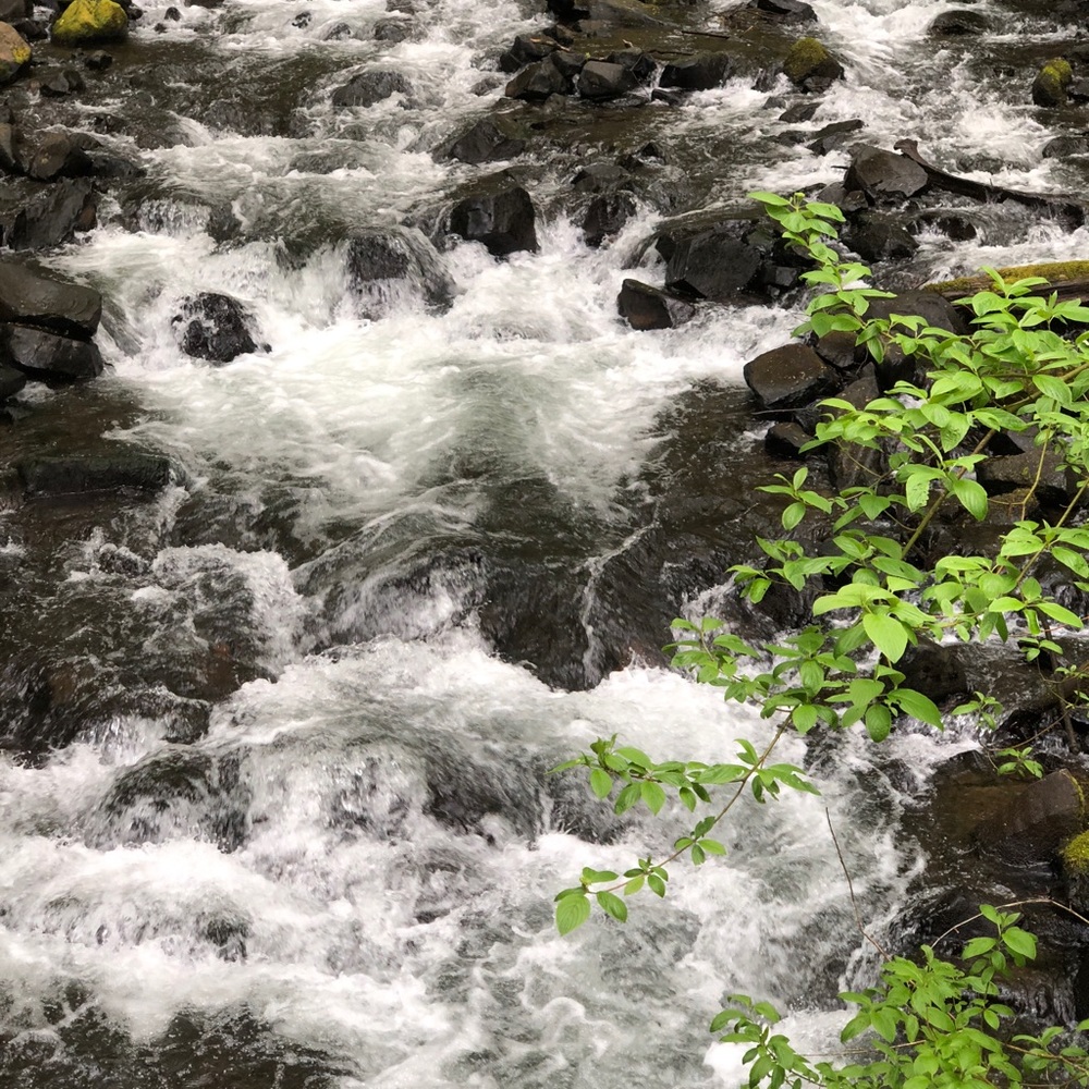 Meet your Posher, Sanan